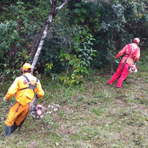 PRIMERA INTERVENCIÓN PREDIO SANTA BÁRBARA